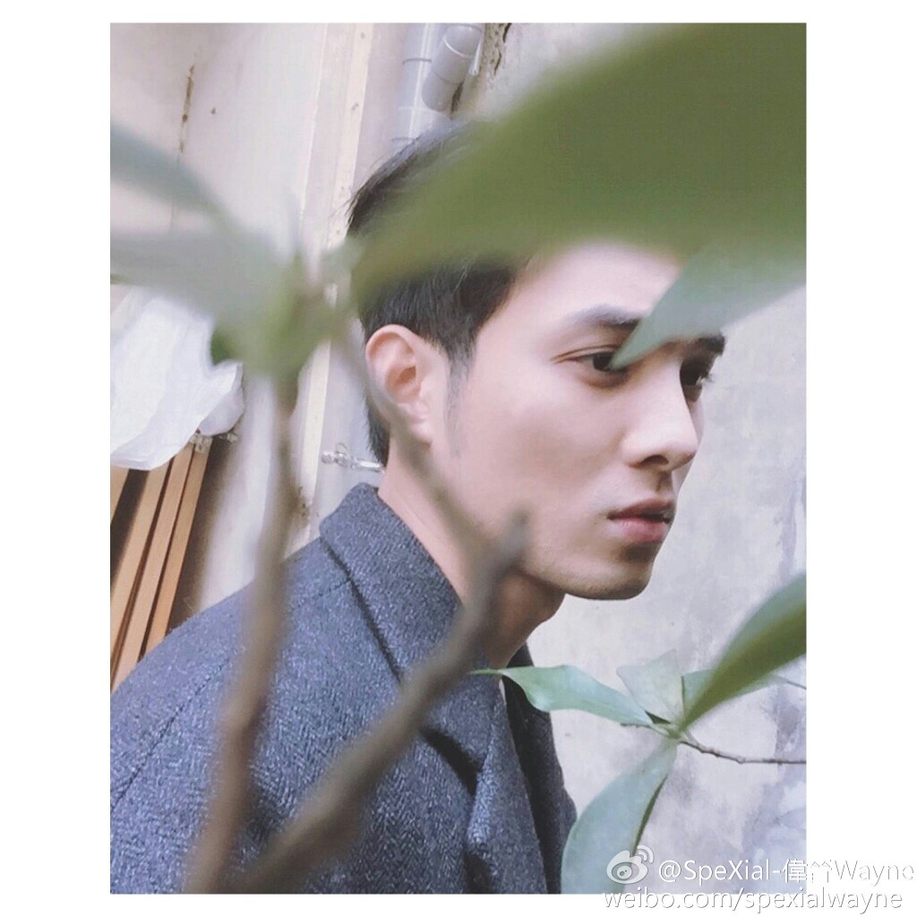 黄伟晋 .