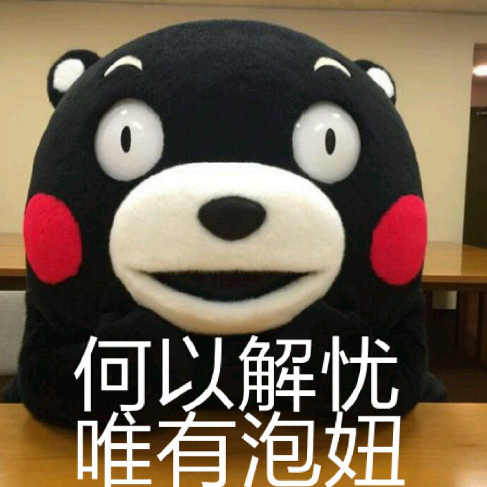 熊本熊来吧何以泡妞,捕捉解忧-堆糖,美好生表情包楼上唯有出表情图片