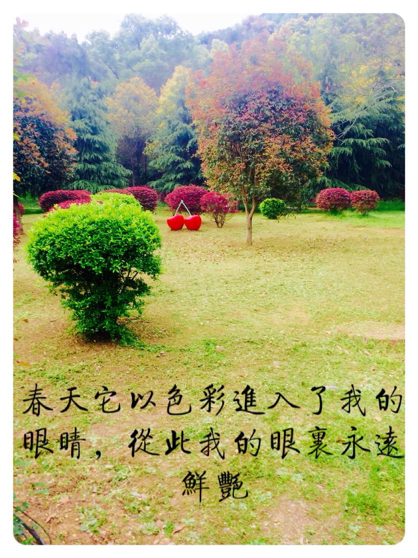 春天它以色彩进入了我的眼睛,从此我的眼里永远鲜艳.