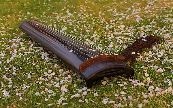 丝桐和七弦琴,是中国汉族传统拨弦乐器,有三千年以上历史,属于八音中
