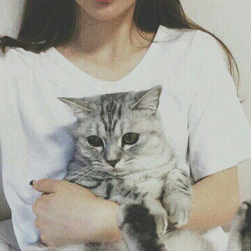 猫女头# 清新,女头,猫咪,韩头