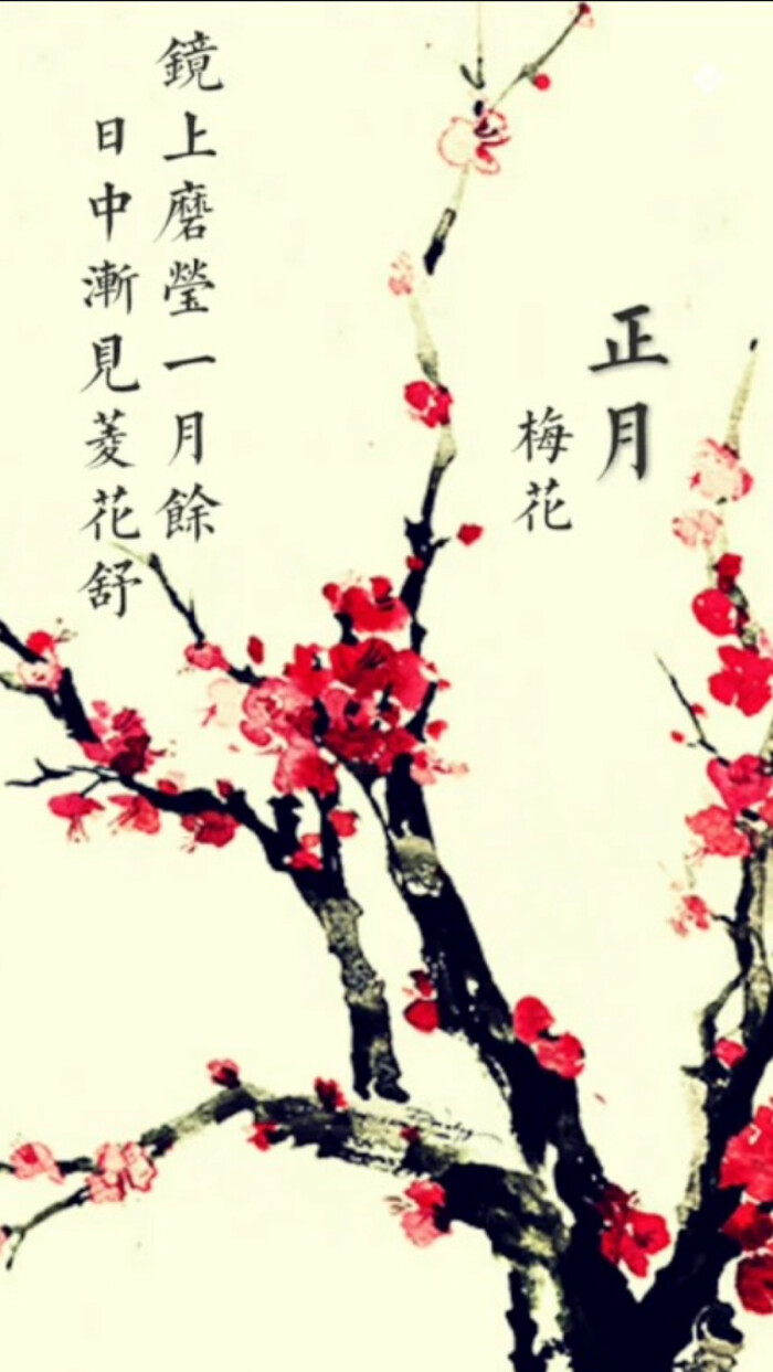 一月 梅花# 【锁屏壁纸】转自:点青