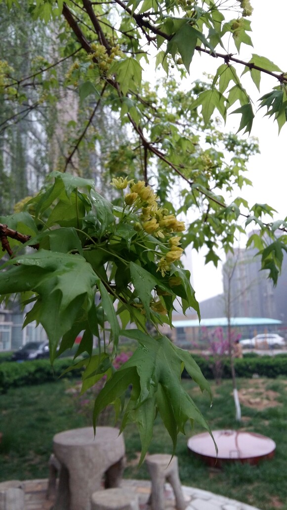 下着毛毛细雨图片图片