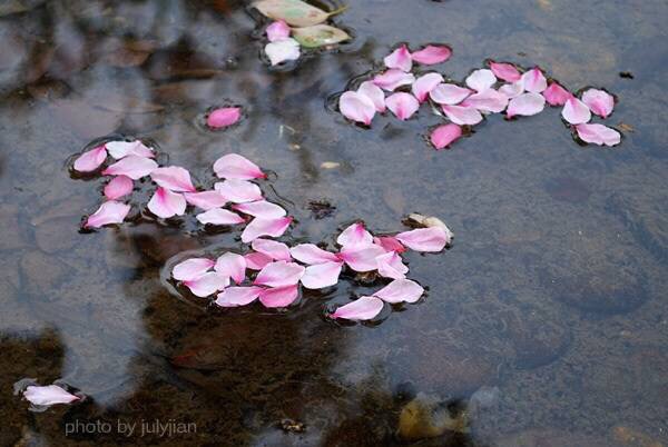 一片桃花一片春,夜来风雨落纷纷.多情更逐东流去,还作高唐梦里人.