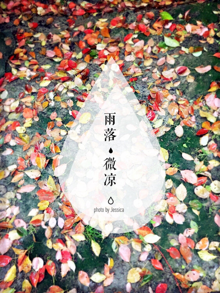 春至,雨落,微凉