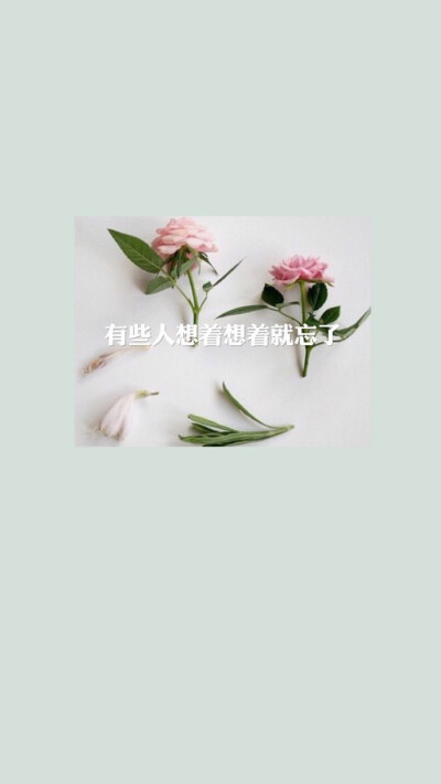 头像 小清新 风景 文艺 摄影