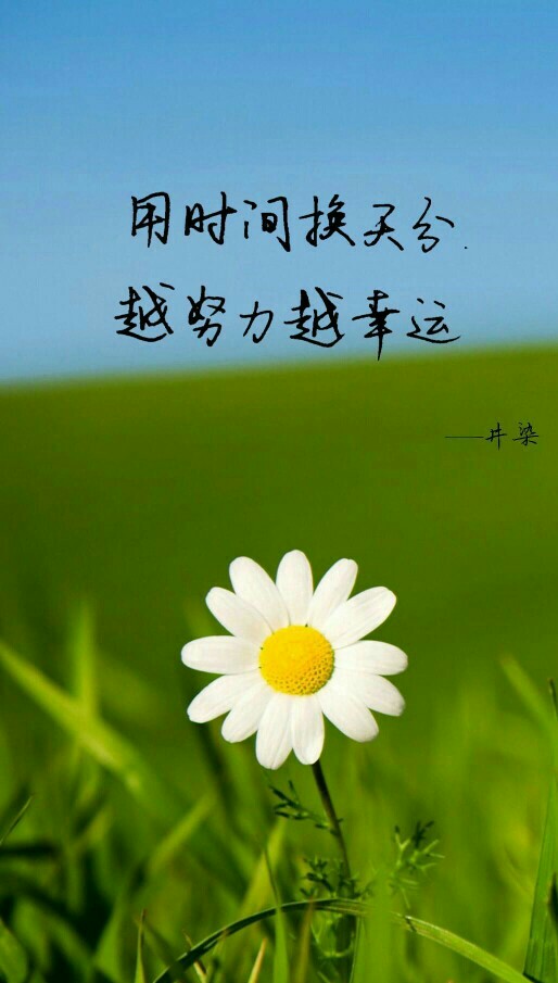 我想我该努力超过你们了!静下心来,好好想想自己该做什么吧!