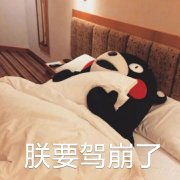熊本熊表情|了,你累了,说好1的幸福呢符号表情包搞笑图片