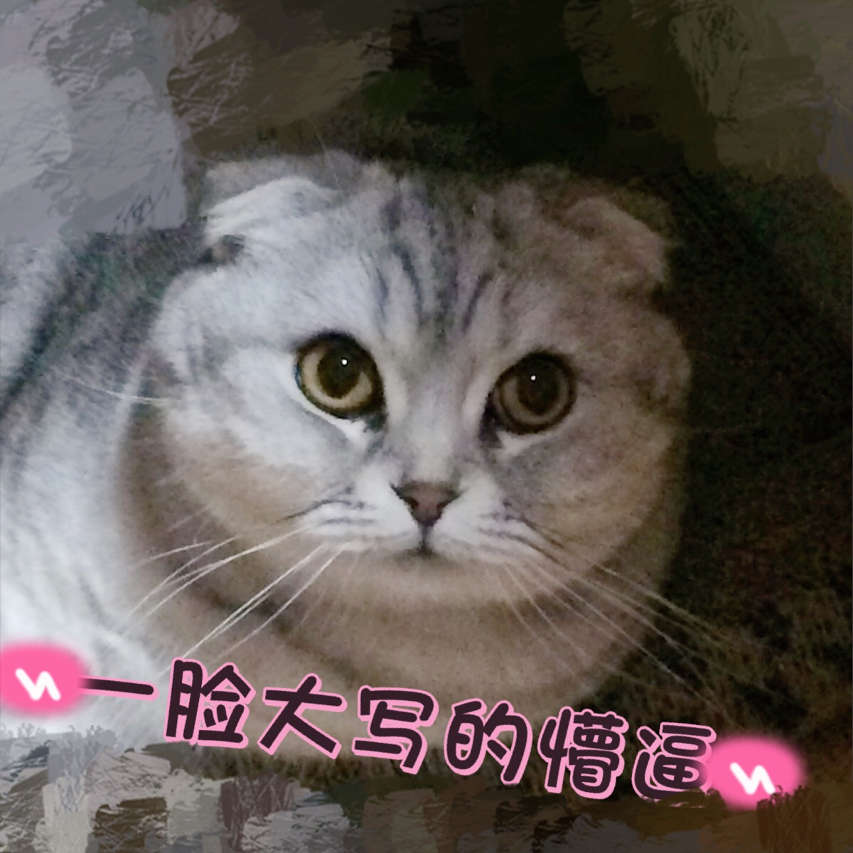 字不重要,看图