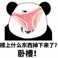 表情包#楼上什么东西掉出来了?卧槽!