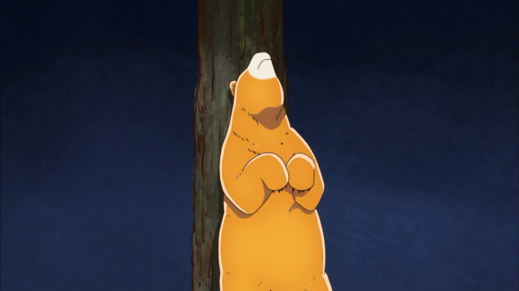 2016四月新番 当女孩遇到熊 原版名称 くまみこ 熊