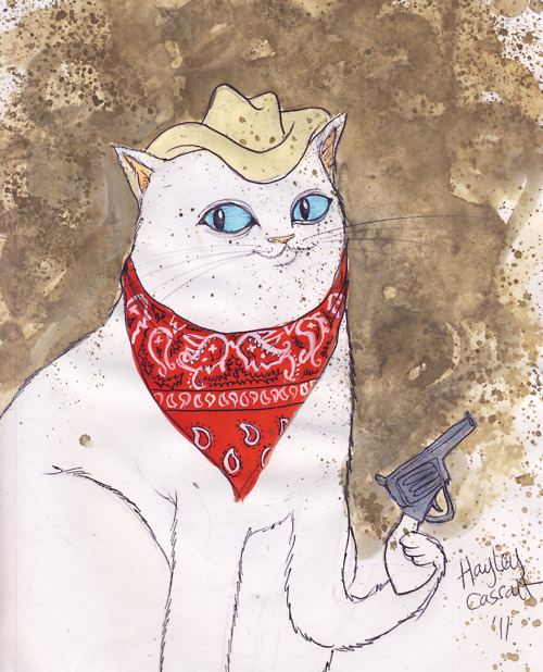趣怪猫咪插画 画师hayley cassatt