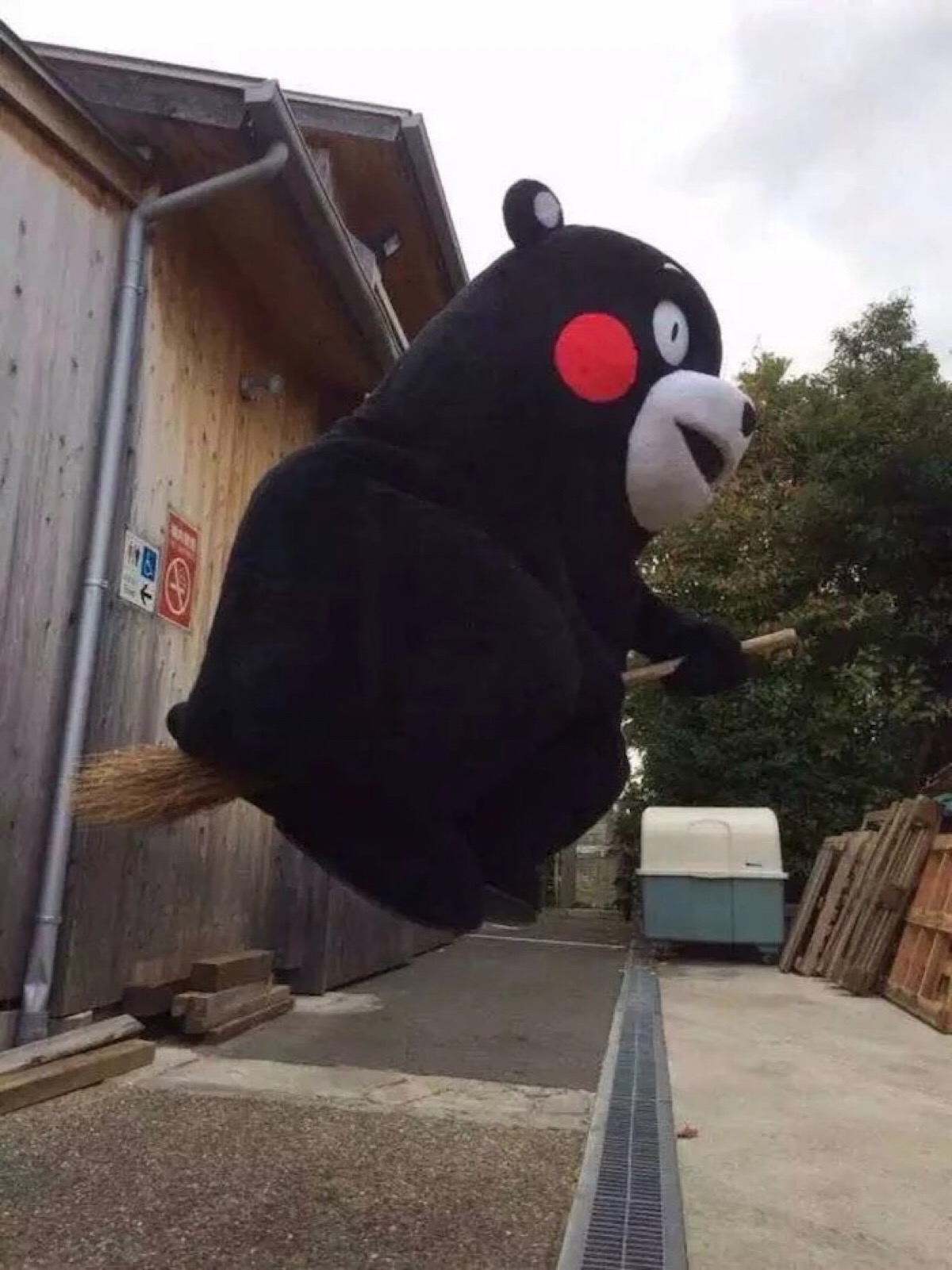 熊本熊