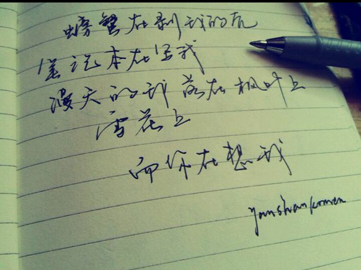 别人写的字螃蟹在剥我的壳/笔记本在写我/漫天的我落在枫叶上雪花上