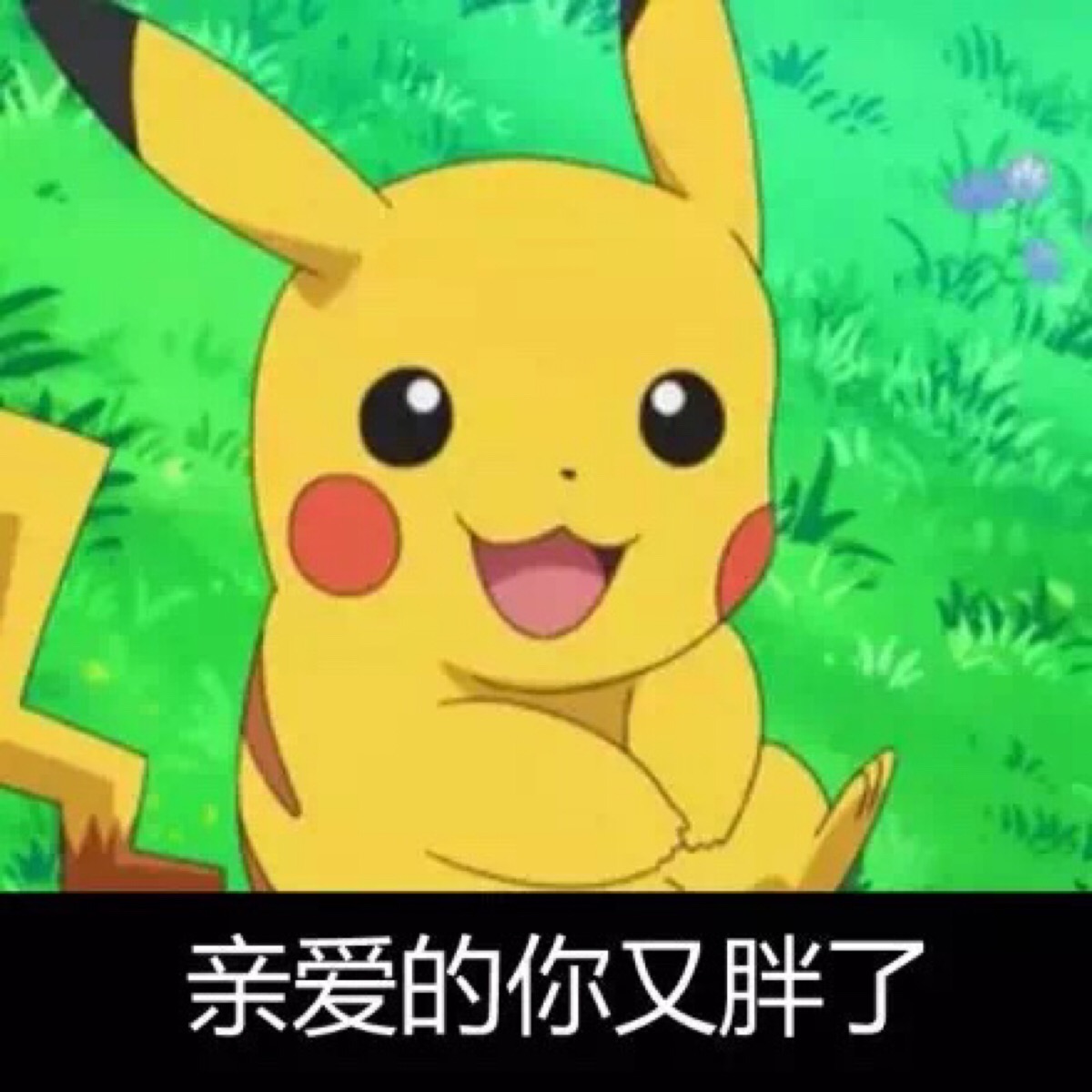 「表情包」皮卡丘