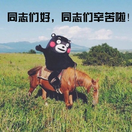 kumamon熊本熊表情包