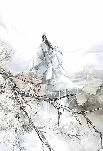 美男,背影