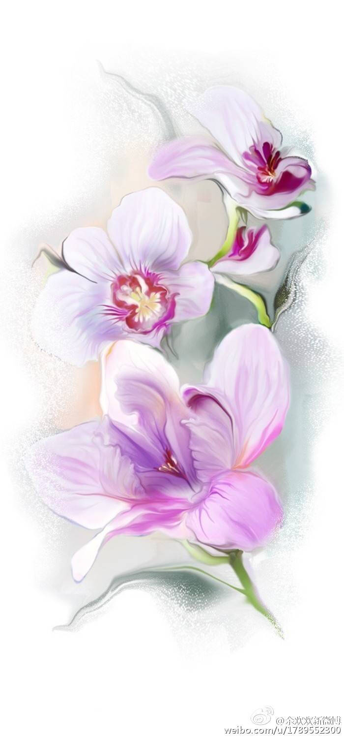 teni精美的手绘艺术插画花卉插画舞者插画鸢尾