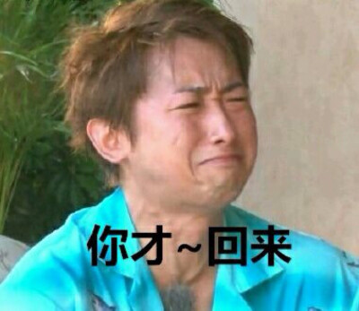 arashi表情包