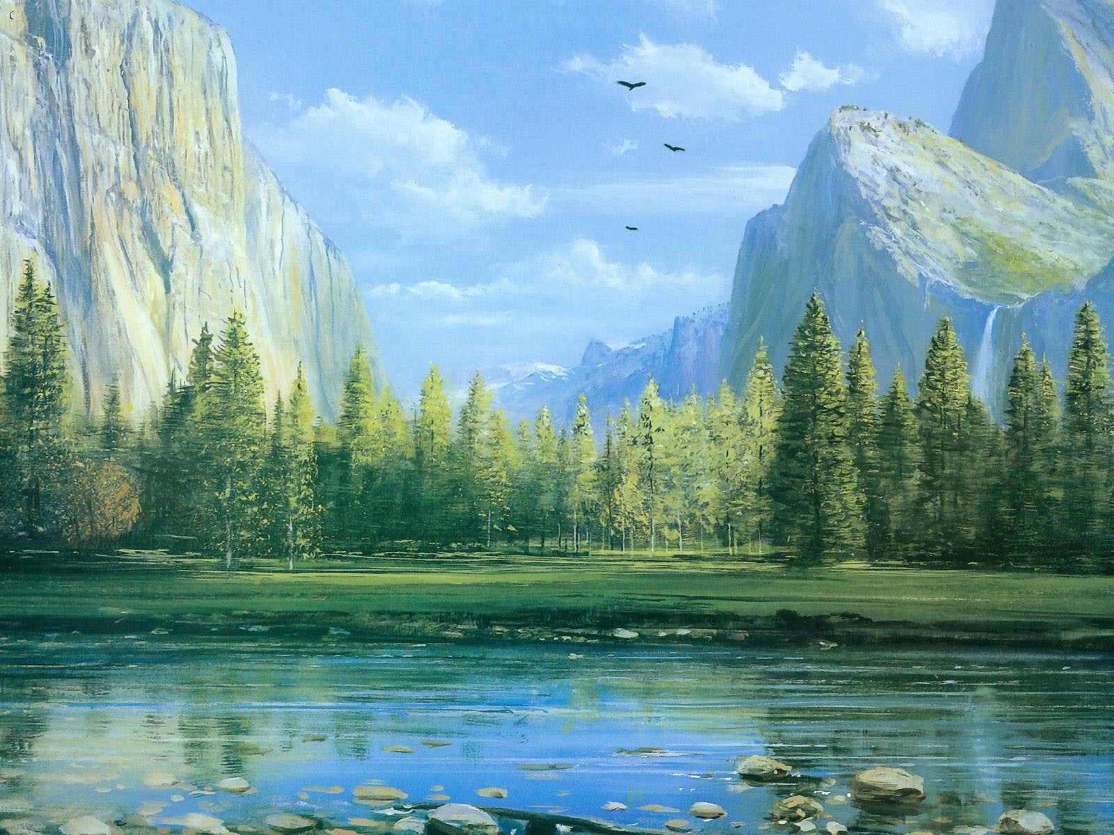 参与了迪斯尼公司多部电影的特效制作,并获得过奥斯卡奖.