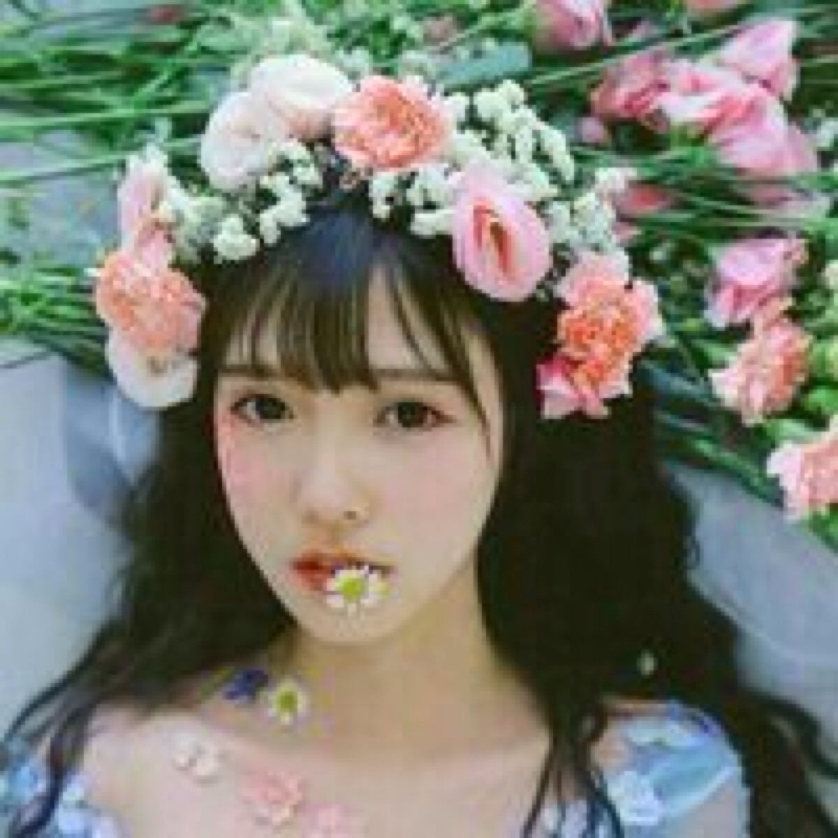 花的女孩儿,海边坐,原谅我捧花出席只为错过你【女头唯美带花】by沐晴