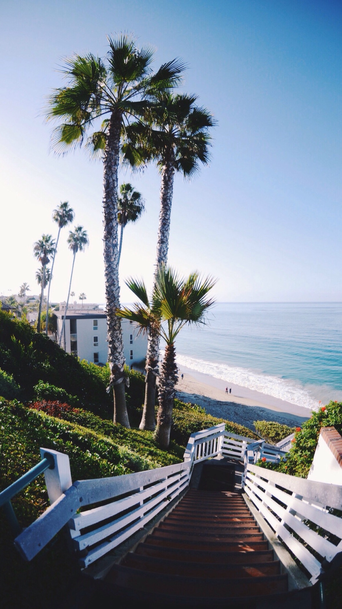 码图码上瘾了……高清壁纸无水印