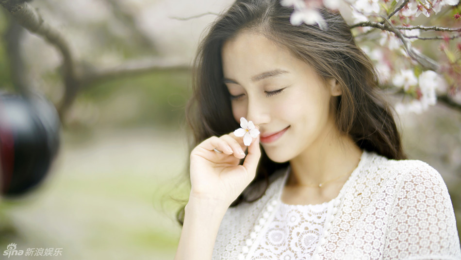 angelababy曝光全新《樱花说》写真,清新的妆容与背后的樱花美景交相