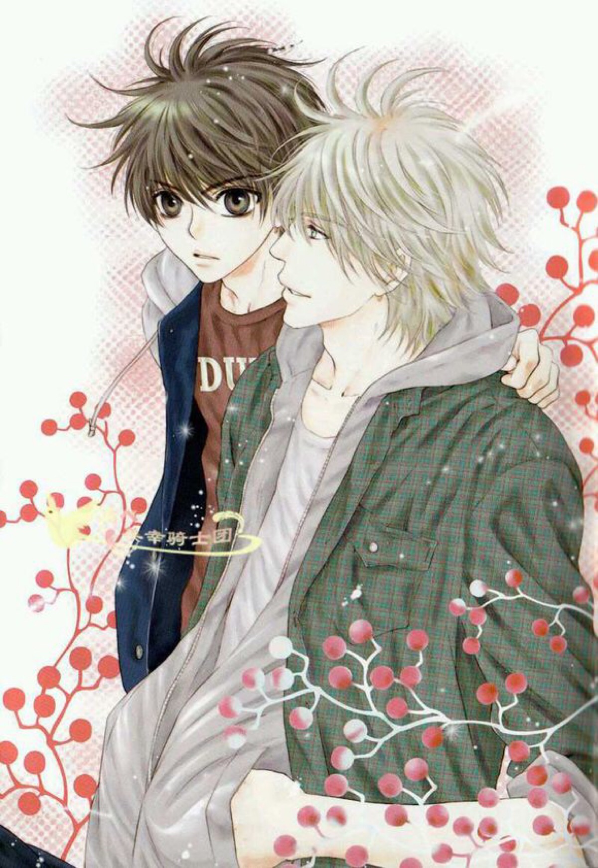 super lovers