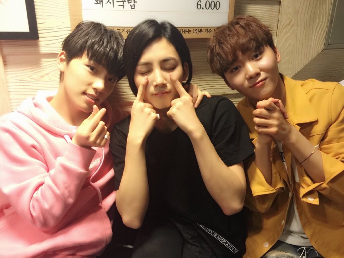 (mingyu)徐明浩(the8)夫胜宽(seungkwan)崔韩率(vernon)李灿(dino)