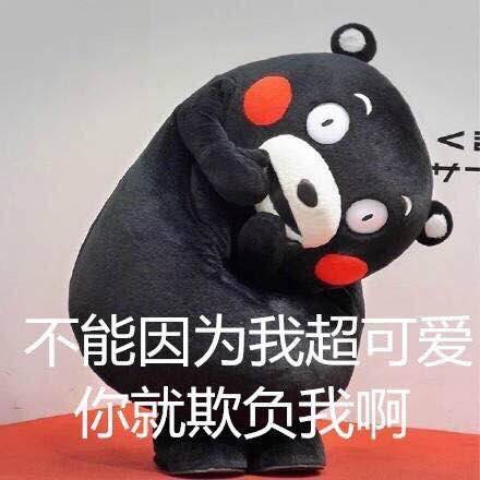 【熊本熊系列】不能因为我超可爱 你就欺负我啊