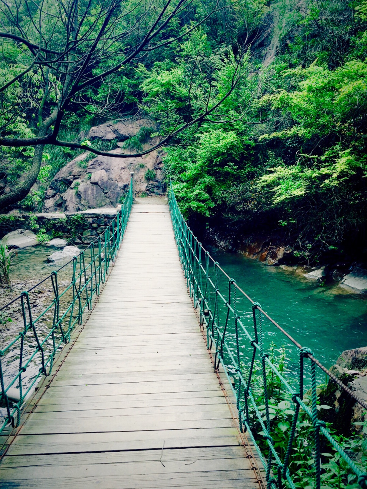 遂宁西山森林公园吊桥图片