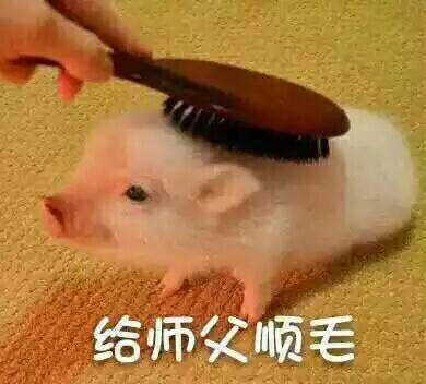 剑三拳拳表情系列拿小表情捶你师徒包图片