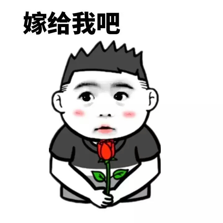 嫁给我吧