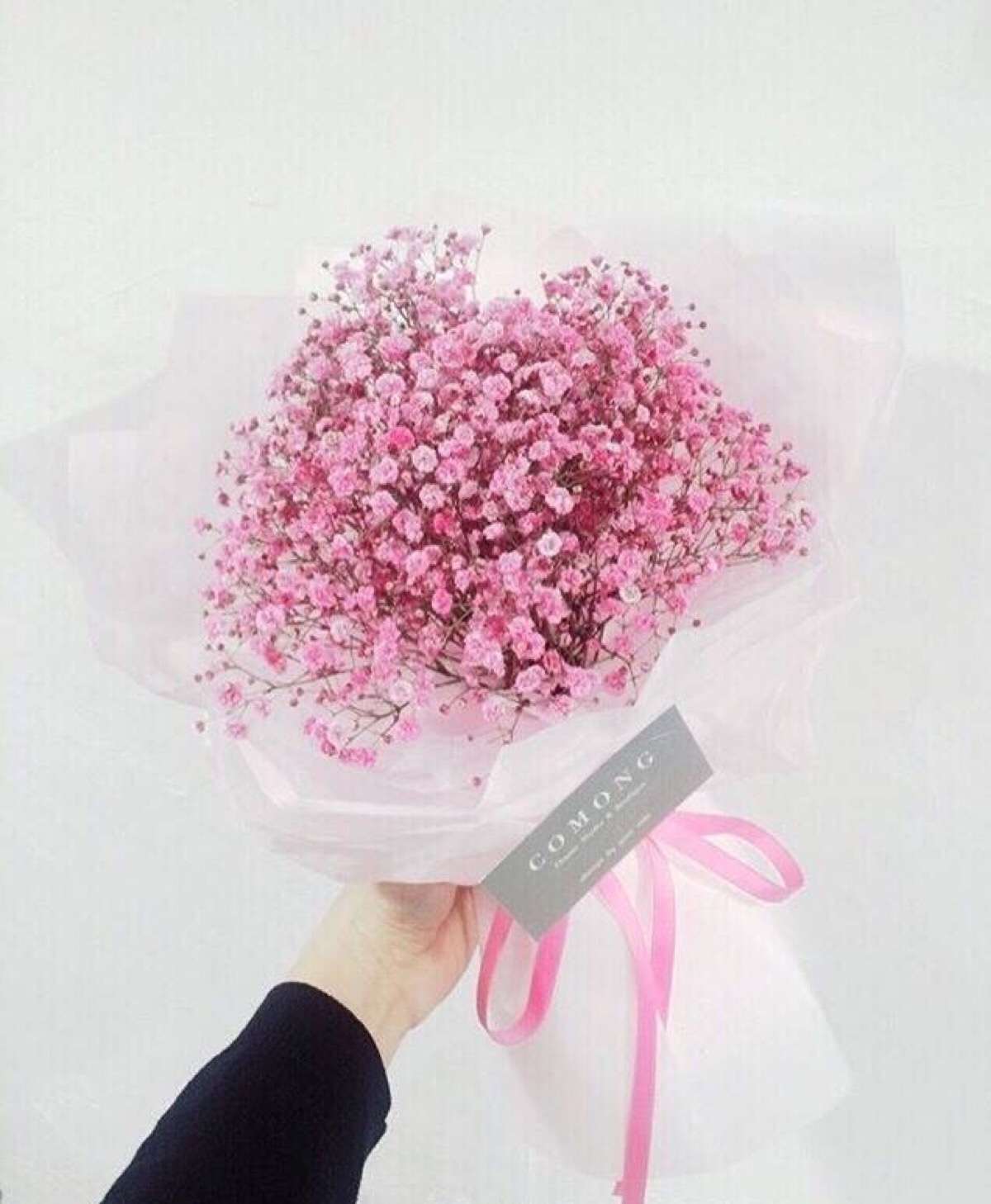 给自己一束满天星 给自己幸运