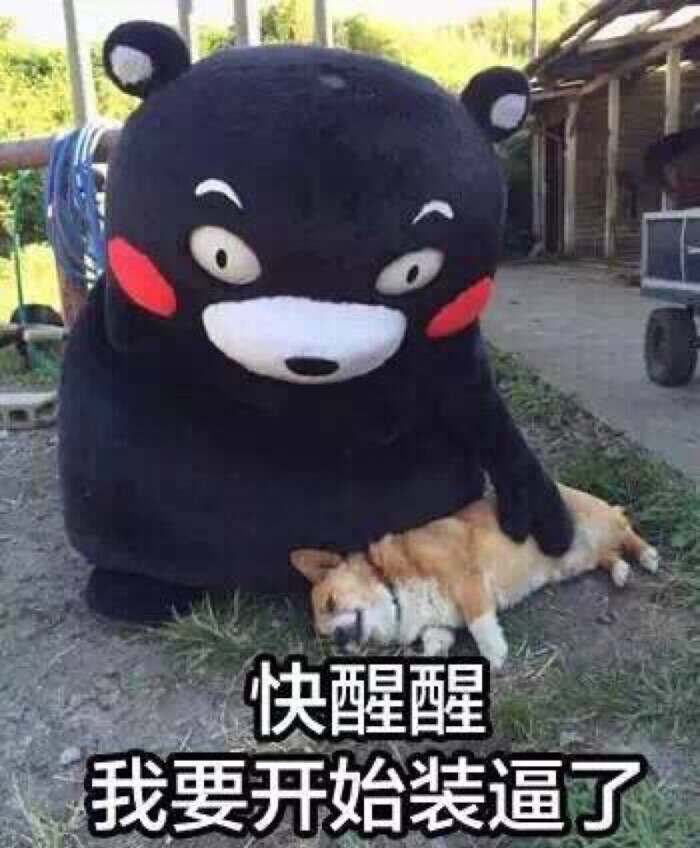 快醒醒 