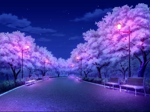樱树夜