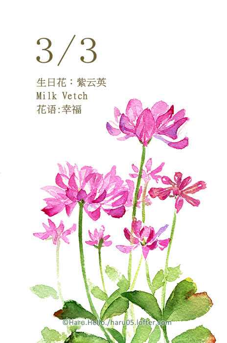 haru.hello. 3.3 生日花:紫云英