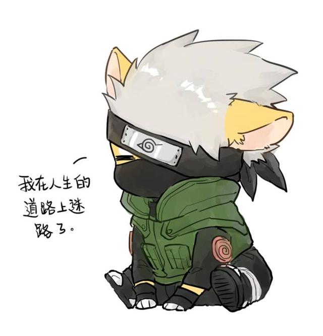 查看源网页