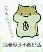 仓鼠表情包【抱着瓜子不敢说话】