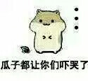 仓鼠表情包【瓜子都让你们吓哭了】