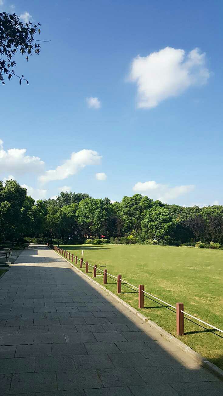 天气好的时候我就想和你一起散散步