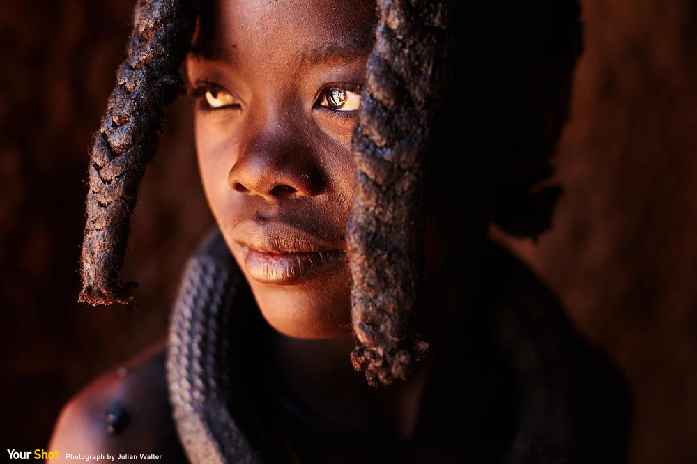 i have only one trump card. is me