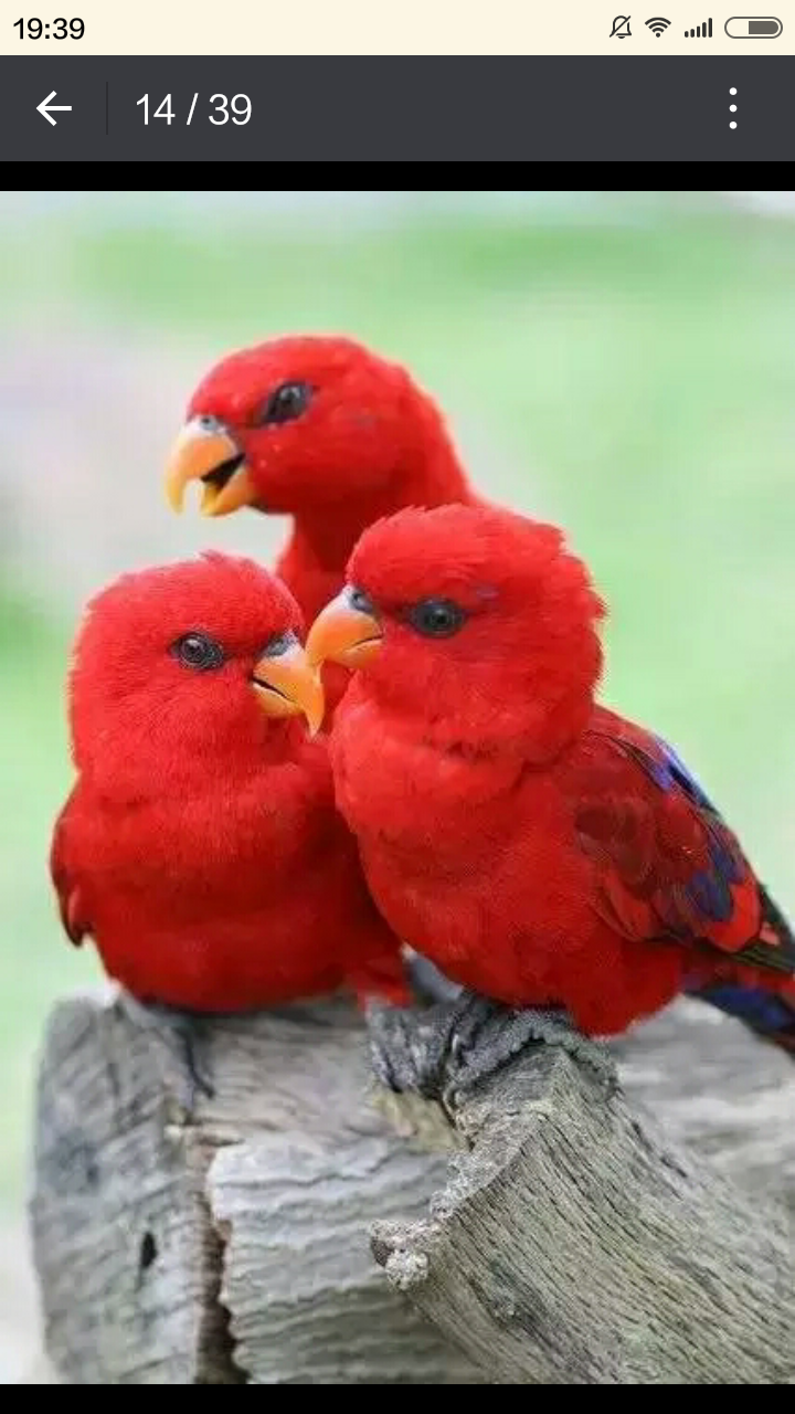 三人行,必有电灯泡.