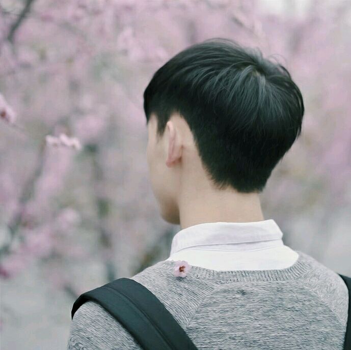 小清新 森系 图片 皮肤 头像 女头 男头 喜欢关注拿图点赞不定期更新