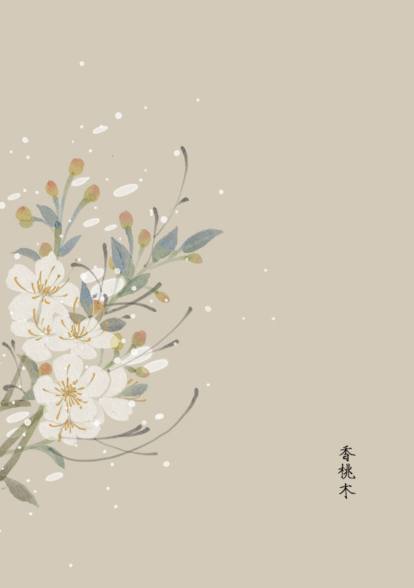 花草,水墨,封面,淡雅,唯美,插画,古风