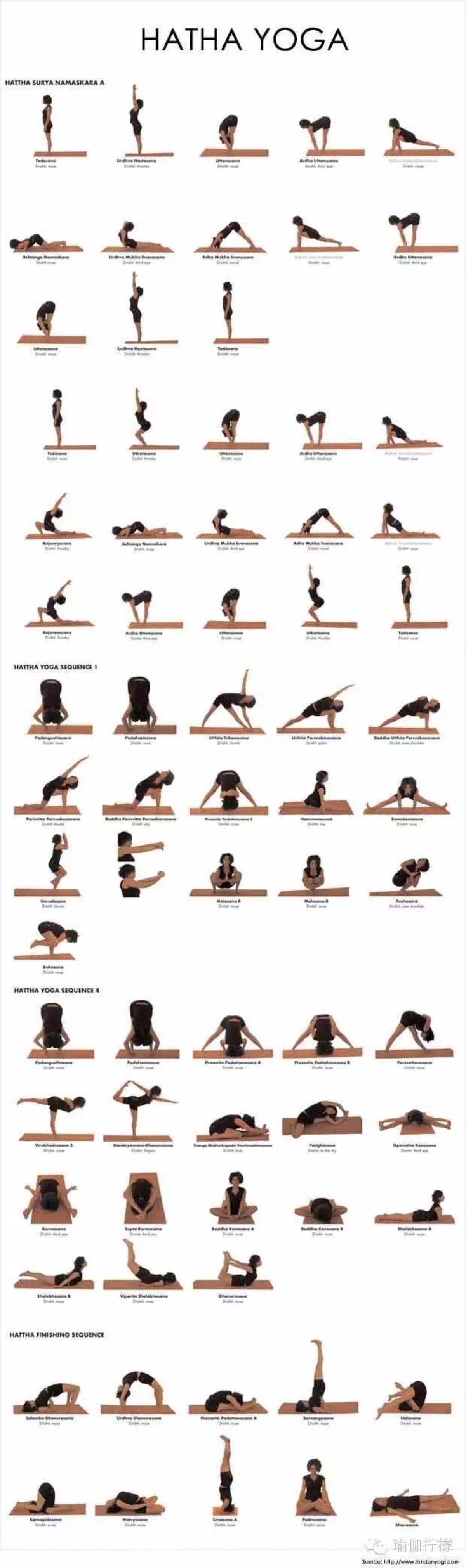 hatha yoga