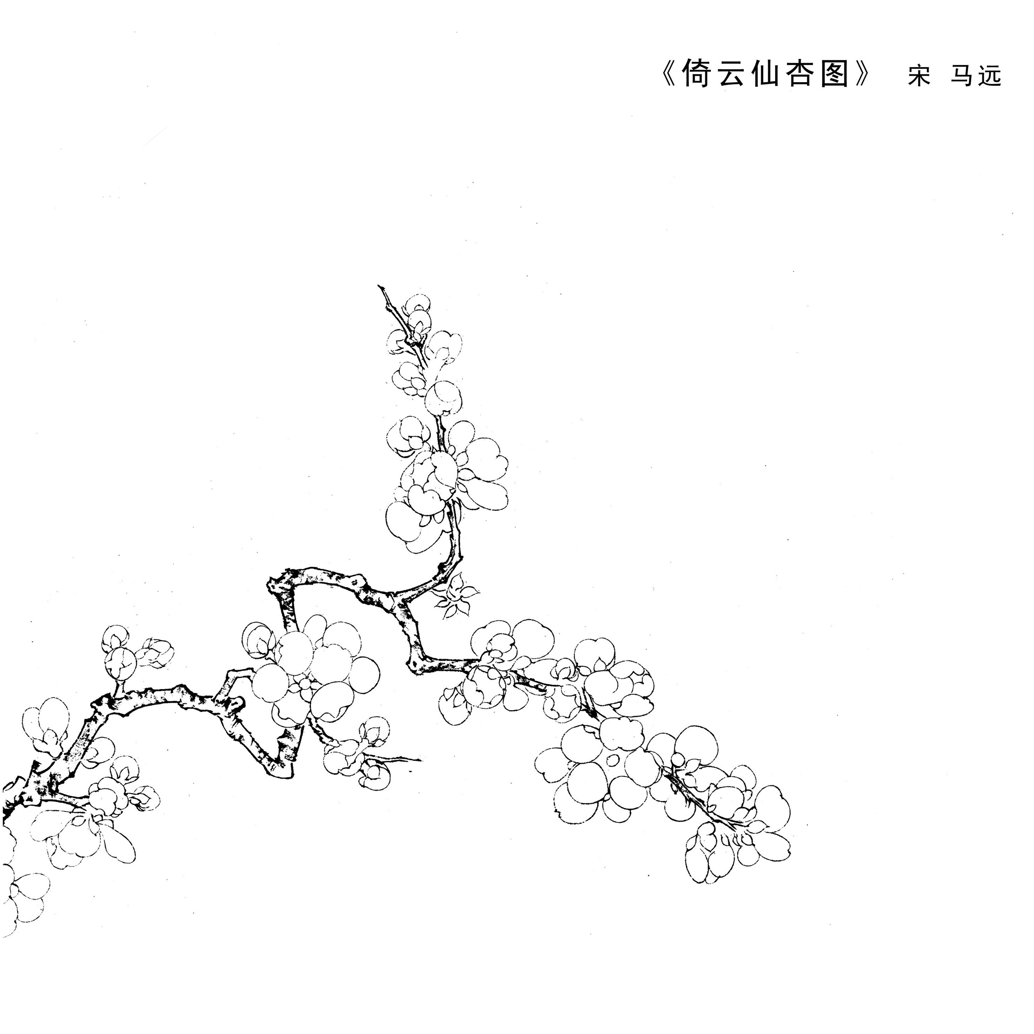 花鸟花卉斗方工笔字画