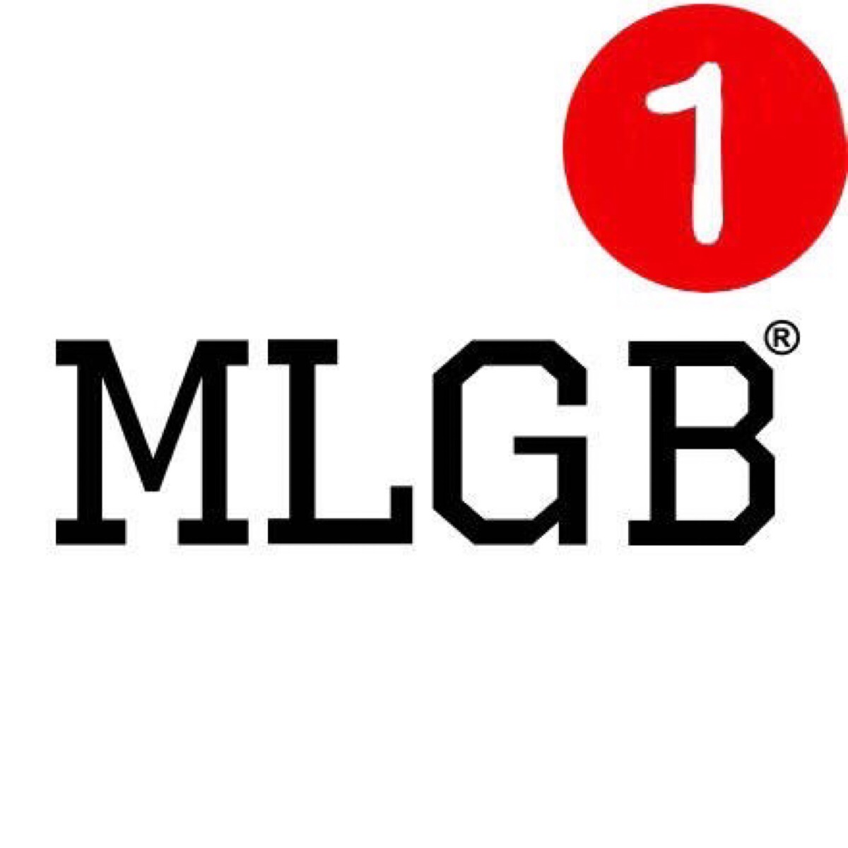 mlgblogo图片