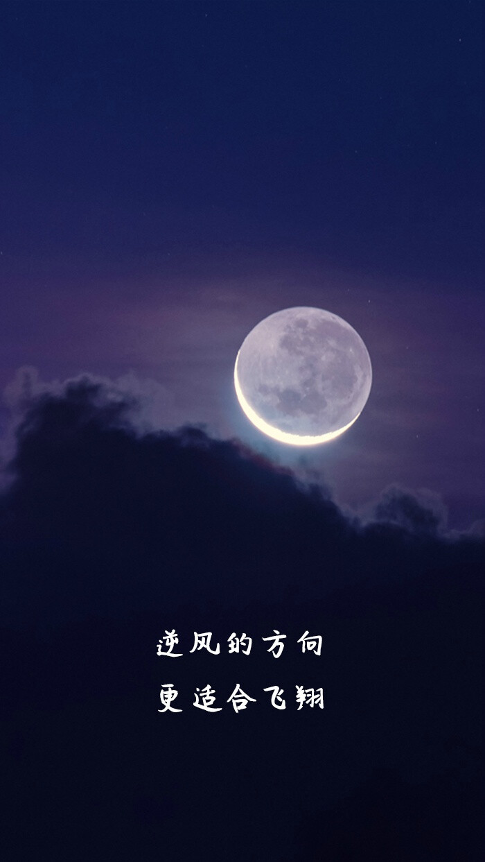 逆风的方向,更适合飞翔.