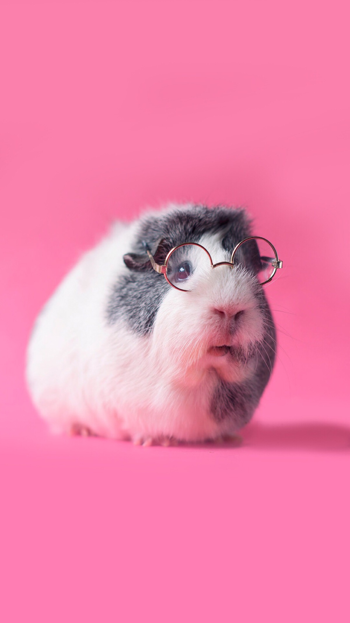 1200_2133竖版 竖屏